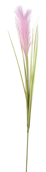Centrakor Fontenay-en-Parisis - La tige de pampa avec herbes Promo La tige de pampa avec herbes dans le catalogue Centrakor Centrakor, j'adore ! à Fontenay-en-Parisis
