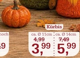Kürbis ca. Ø 11cm im Angebot bei Garten-Center Nordharz GmbH & Co. KG in Lehrte Kürbis ca. Ø 11cm Angebote bei Garten-Center Nordharz GmbH & Co. KG Lehrte für 3,99 €