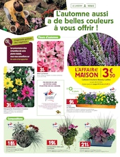 Promos Plantes dans le catalogue "ON M quand l'automne se prépare en famille" de LaMaison.fr Plantes en promo dans le catalogue LaMaison.fr à la page 16