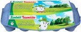 Frische Eier Angebote von Landwirt Baumeister bei Kaufland Hagen für 3,59 €