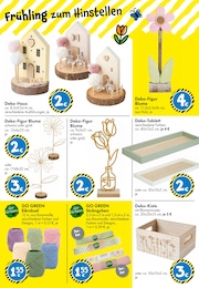 TEDi Deko Blumen im Prospekt 