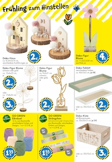 Blumen im TEDi Prospekt "TEDi - voller Ideen!" mit 40 Seiten (Augsburg)