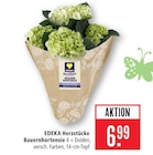 Bauernhortensie Angebote von EDEKA Herzstücke bei Marktkauf Heidenheim für 6,99 €
