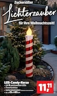 Aktuelles LED-Candy-Kerze Angebot bei Thomas Philipps in Cottbus ab 11,11 €