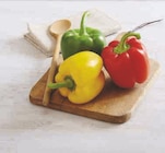 Poivron tricolore - U - Super U à Mérignac Poivron tricolore - U en promo chez Super U Mérignac à 1,79 €