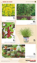 Offre Arbre dans le catalogue Intermarché du moment à la page 7