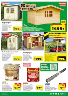 Gartenhaus Angebot im Hagebaumarkt Prospekt, gültig von 26.04.2025 bis 03.05.2025 Gartenhaus Angebot im aktuellen Hagebaumarkt Prospekt auf Seite 9