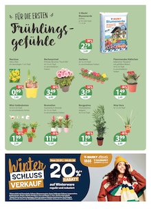 Entkalker Angebot im V-Markt Prospekt, gültig von 22.01.2026 bis 28.01.2026 Entkalker Angebot im aktuellen V-Markt Prospekt auf Seite 17