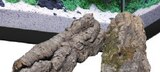 -25% SUR UNE SÉLECTION DE RACINES NATURELLES POUR AQUARIUM en promo chez Truffaut -25% SUR UNE SÉLECTION DE RACINES NATURELLES POUR AQUARIUM dans le catalogue Truffaut