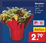 Aktuelles Moosfarn Angebot bei Netto Marken-Discount in Siegen (Universitätsstadt) ab 2,79 €