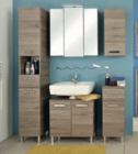 Hochschrank im Angebot bei Opti-Megastore in Suhl Hochschrank Angebote bei Opti-Megastore Suhl für 59,00 €