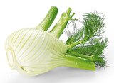 Fenchel Angebote von REWE Regional bei REWE Kaarst für 1,99 €