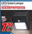 LED-Solar-Lampe Angebote bei Wreesmann Dresden für 7,99 €