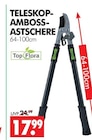 TELESKOP-AMBOSS-ASTSCHERE im Angebot bei Wreesmann in Pirna TELESKOP-AMBOSS-ASTSCHERE Angebote von Top Flora bei Wreesmann Pirna für 17,99 €