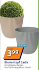 Aktuelles Blumentopf Cadiz Angebot bei Action in Essen ab 3,99 €