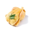 Frisches spanisches Maishähnchen bei Netto mit dem Scottie im Dessau-Roßlau Prospekt für 5,49 €