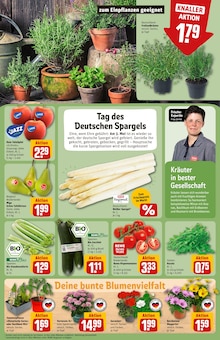 Tomaten im REWE Prospekt "Dein Markt" mit 36 Seiten (Wiesbaden)