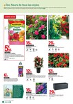 Plantes Plantes