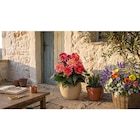 Potée fleurie XXL en promo chez Carrefour Saint-Étienne à 12,99 €