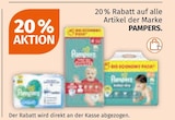 20 % Rabatt von Pampers im aktuellen Müller Prospekt für 