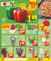 Kochtopf Angebote im Prospekt "Aktuelle Angebote" von EDEKA Kochtopf Angebote im Prospekt "Aktuelle Angebote" von EDEKA auf Seite 3