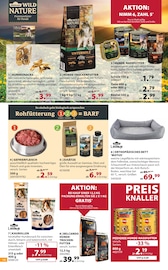 Hundefutter im Dehner Garten-Center Prospekt in Maintal Aktueller Dehner Garten-Center Prospekt mit Hundefutter, "AKTUELLE ANGEBOTE", Seite 14