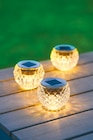 Solar-Glaslicht von GARDEN DREAM für 3,99 € bei Netto mit dem Scottie im Angebot Solar-Glaslicht von GARDEN DREAM im aktuellen Netto mit dem Scottie Prospekt