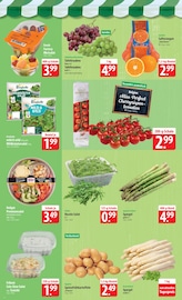 Aktueller famila Nordost Prospekt mit Tomaten, "besser als gut!", Seite 4