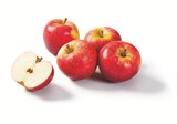 rote Äpfel von Bioland im aktuellen Lidl Prospekt