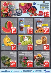Hortensie im EDEKA Prospekt in Flensburg Aktueller EDEKA Prospekt mit Hortensie, "Top Angebote", Seite 5