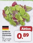 Deutscher Pflücksalat von HofWerte für 0,89 € bei famila Nordwest im Angebot Deutscher Pflücksalat von HofWerte im aktuellen famila Nordwest Prospekt