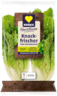 Aktuelle Salat Angebote bei EDEKA in Hamburg Aktuelles Mini Romana Salat Angebot bei EDEKA in Hamburg ab 1,29 €