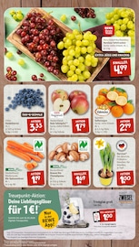 Gemüse im nahkauf Prospekt in Kaarst Aktueller nahkauf Prospekt mit Gemüse, "nichts liegt näher", Seite 3