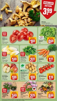 Pfifferlinge im aktuellen REWE Prospekt (Darmstadt) Pfifferlinge im REWE Prospekt "Dein Markt" mit 20 Seiten (Darmstadt)
