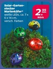 Solar-Gartenstecker Marienkäfer Angebote bei Netto mit dem Scottie Rostock für 2,99 €