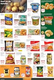 Aktueller GLOBUS Prospekt mit Backofen, "Aktuelle Angebote", Seite 17