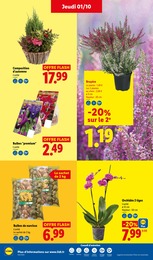 Prix et réduction Bruyère dans le prospectus Lidl en cours Offre Bruyère dans le catalogue Lidl du moment à la page 30