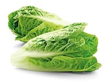 Aktuelles Bio Romana Salatherzen Angebot bei REWE in Magdeburg ab 1,49 €