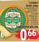 Gouda jung bei EDEKA im Schermbeck Prospekt für 0,66 €