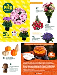 Prix et réduction Plante D'intérieur dans le prospectus Truffaut en cours Offre Plante D'intérieur dans le catalogue Truffaut du moment à la page 3