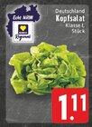 Kopfsalat im Angebot bei EDEKA in Leverkusen Kopfsalat Angebote von Echt NRW bei EDEKA Leverkusen für 1,11 €