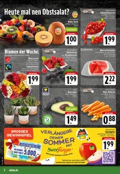 Zimmerpflanzen im EDEKA Prospekt in Osnabrück Aktueller EDEKA Prospekt mit Zimmerpflanzen, "Aktuelle Angebote", Seite 2