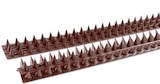 Zaunspitzen für 3,99 € bei Thomas Philipps im Angebot Zaunspitzen im aktuellen Thomas Philipps Prospekt