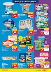 Käse im Netto Marken-Discount Prospekt in Seevetal Aktueller Netto Marken-Discount Prospekt mit Käse, "Aktuelle Angebote", Seite 15