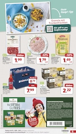 Aktueller famila Nordwest Prospekt mit Sauerkraut, "Markt - Angebote", Seite 13