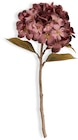 JYSK Kunstblume STIAN H46 cm bordeaux Angebote von JYSK bei JYSK Dresden für 2,50 €