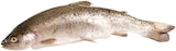 Aktuelle Fisch Angebote bei REWE in Braunschweig Aktuelles Forelle Angebot bei REWE in Braunschweig ab 1,29 €