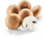 Champignon braun im Angebot bei Netto Marken-Discount in Pforzheim Champignon braun Angebote bei Netto Marken-Discount Pforzheim für 1,49 €