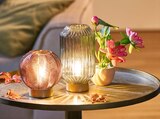 LED-Deko-Lampe oder Deko-Blume im Topf Angebote bei Penny Zwickau für 3,99 €