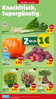 Prospekt der Woche "Wer günstig will, muss Penny." Seite 2, 28.09.2026 bis 02.10.2026 für Böhl-Iggelheim Aktueller Prospekt "Wer günstig will, muss Penny." Seite 2 von 38 Seiten für Böhl-Iggelheim
